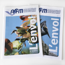 ASFM